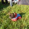 egt2012-1-013