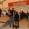 EuroGespanTrefen2012