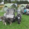 egt2012-1-047