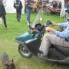 egt2012-2-038