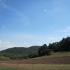 egt-ostriy-005