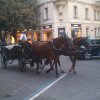 egt-praga-095
