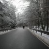 el-german-0086