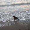 LignanoSab_057