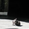 Pekelne_doly_032