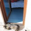 Postojna_010