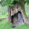 Postojna_032