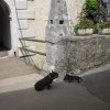Postojna_045