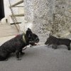 Postojna_046