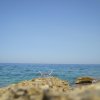mal_0042
