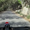 malrab_0009