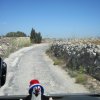 malrab_0025
