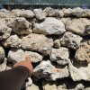 malrab_0026