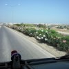 malrab_0027