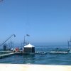 malrab_0077