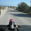 malrab_0083