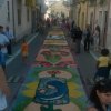 scalea_0026