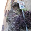 scalea_0031