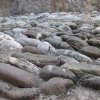 scalea_0036