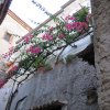 scalea_0061