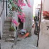 scalea_0062