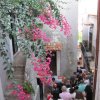 scalea_0067
