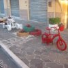 scalea_0086