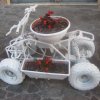 scalea_0088