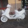 scalea_0089