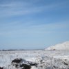 s-t_2013_004