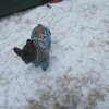 s-t_2013_034