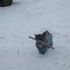 s-t_2013_035
