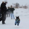 s-t_2013_038