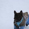 s-t_2013_042