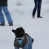 s-t_2013_043