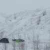 s-t_2013_083