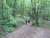 jun2017cz-040