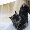 tallin2017_0065