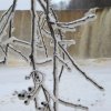 tallin2017_0069