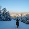 Снежный Крака