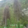 vardzia-030