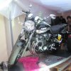 ludy-87.JPG