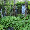 plitvici0091