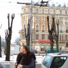 rpokriga052