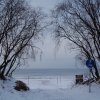 rpokriga058