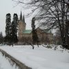 rpoktallin003