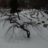 rpoktallin004