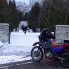 rpoktallin011