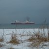 rpoktallin019