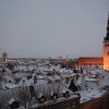 rpoktallin034